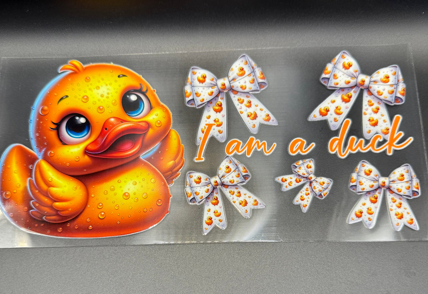 I am a Duck