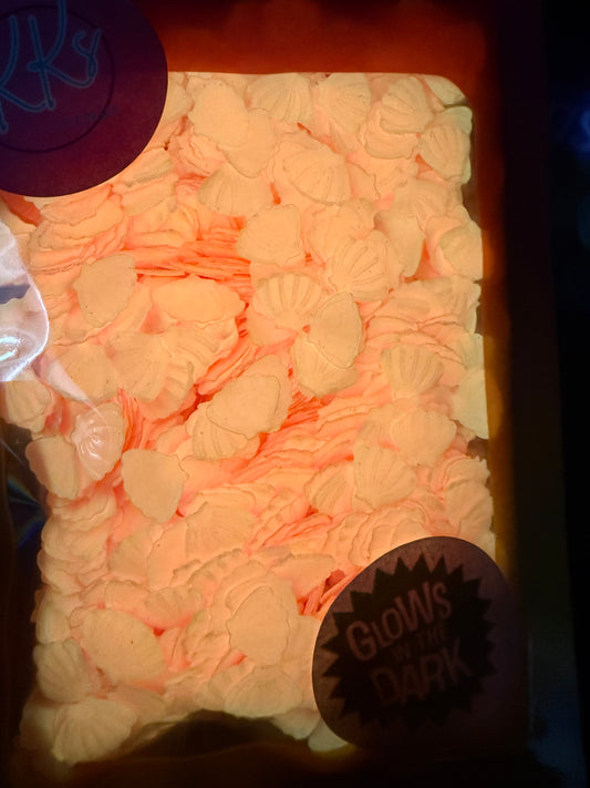 Pink Shells-GLOW IN THE DARK