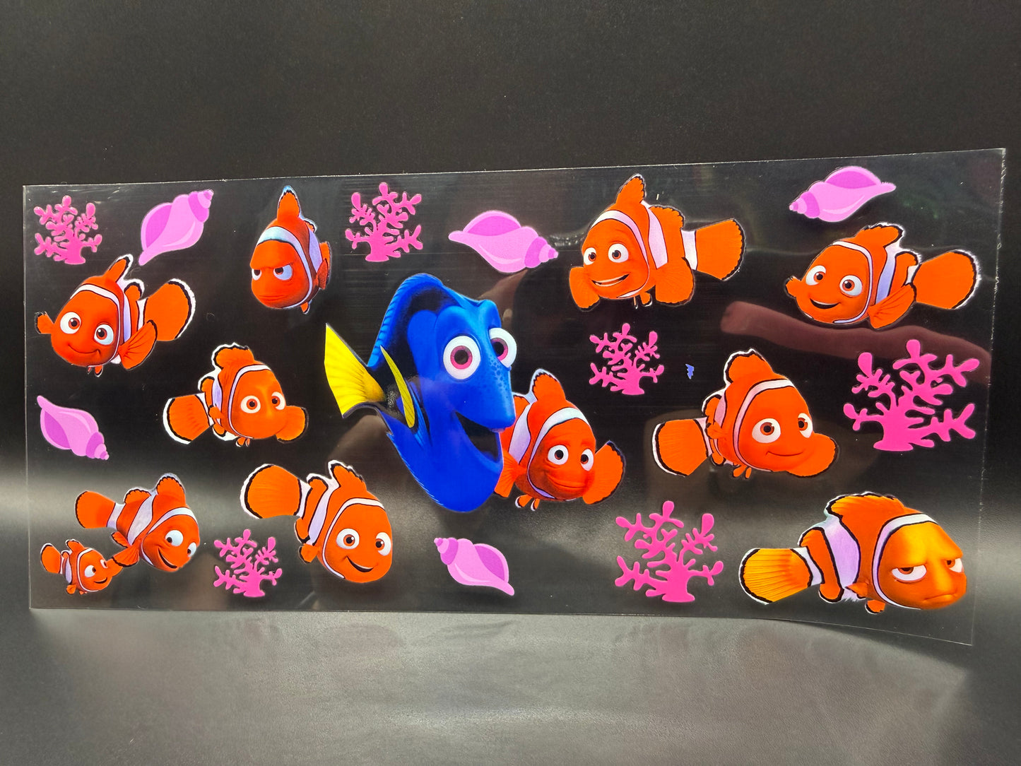 Nemo & Dory