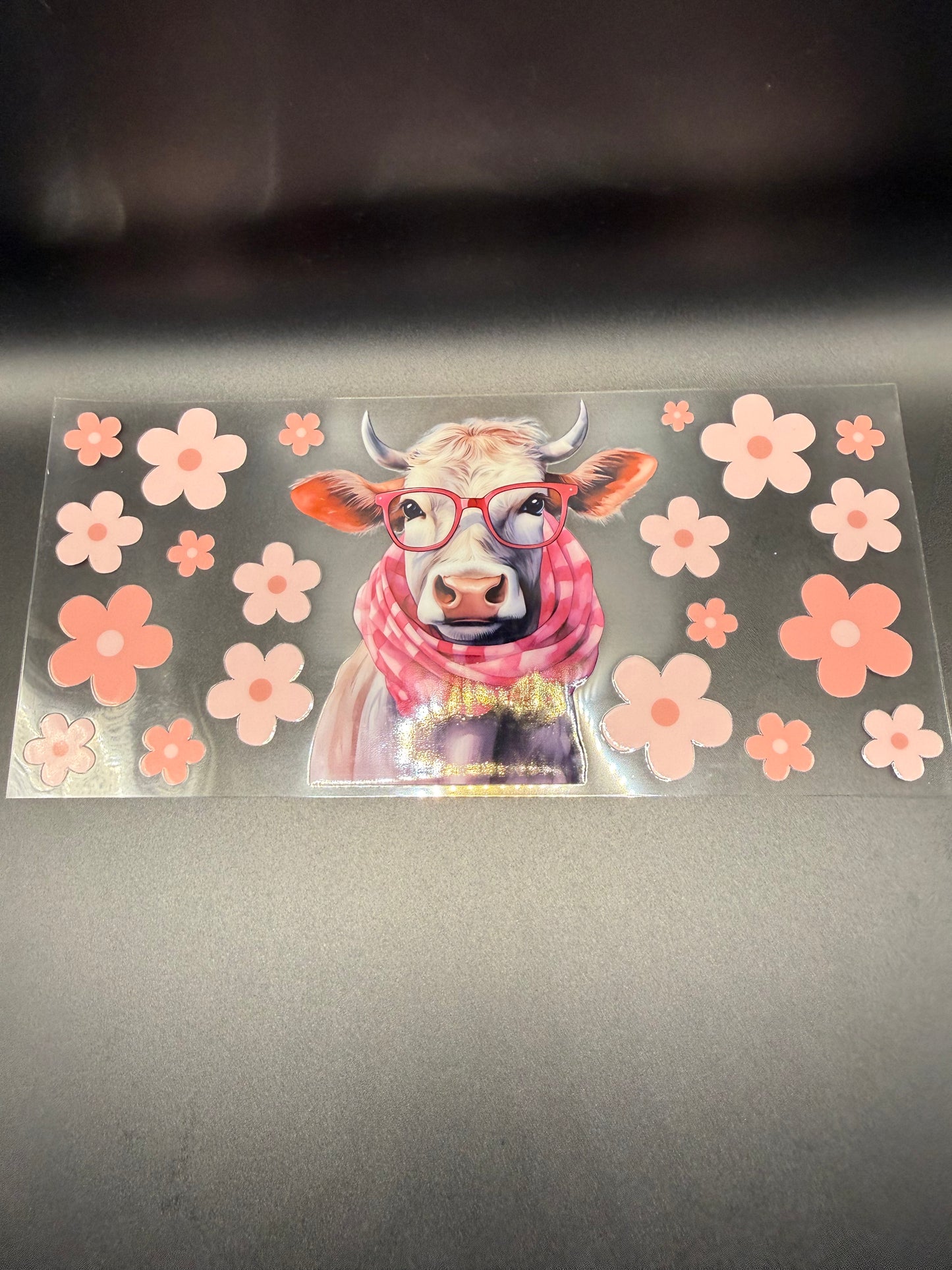 Cow in Scarf