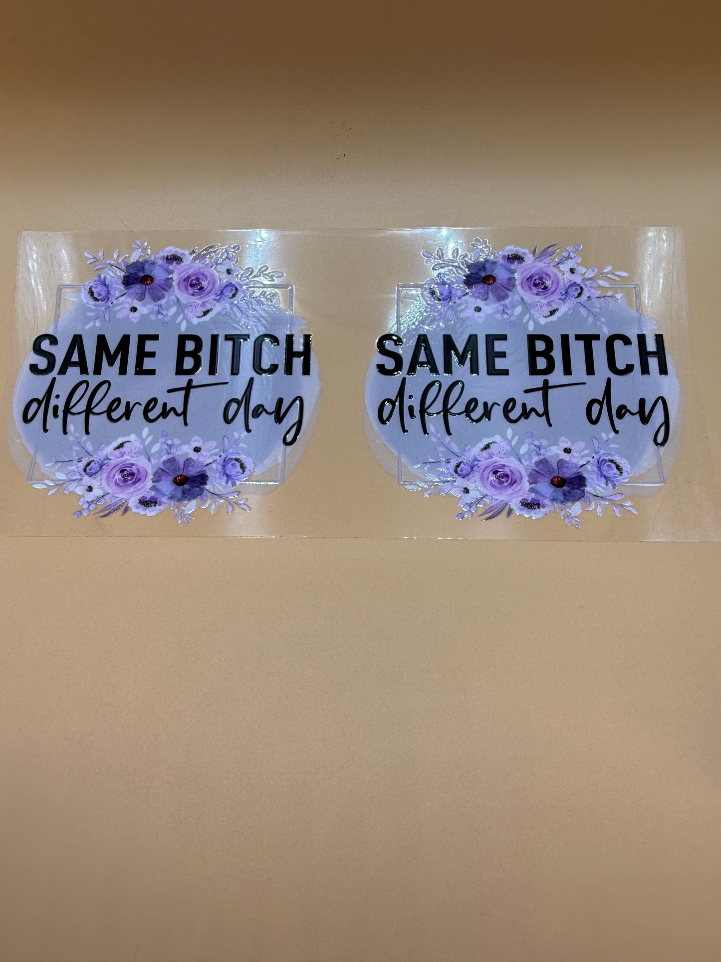 Same Bitch Different Day