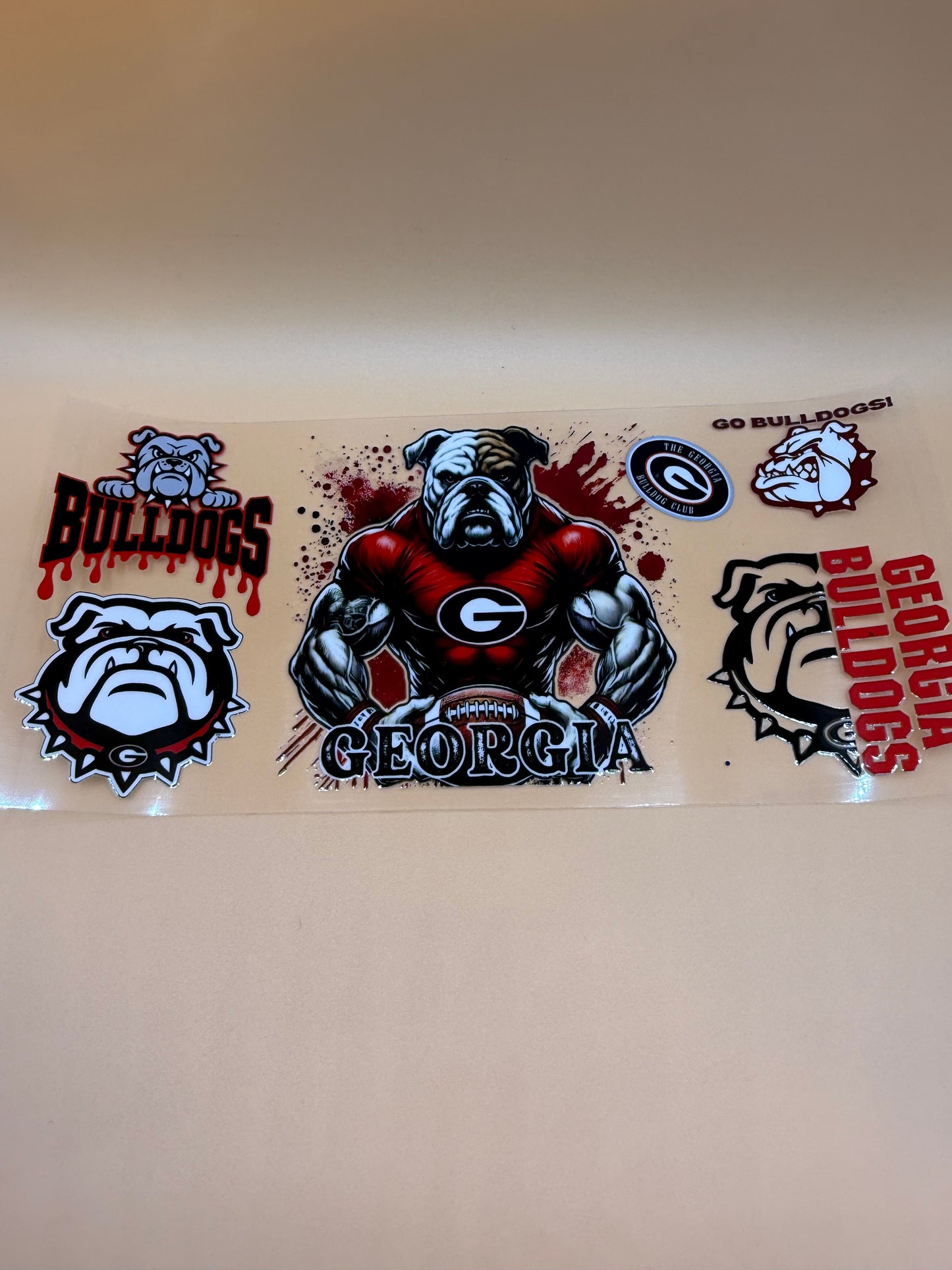 Bulldogs (muscle)