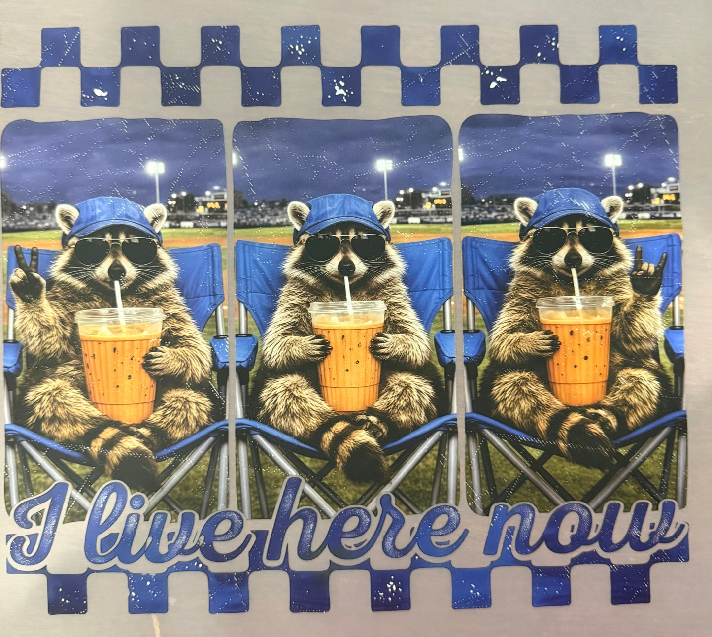 I LIVE HERE NOW-RACCOON