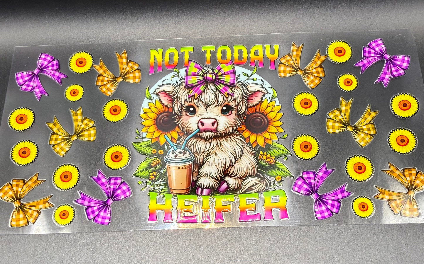 Not Today Heifer