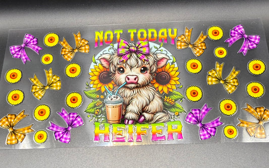 Not Today Heifer