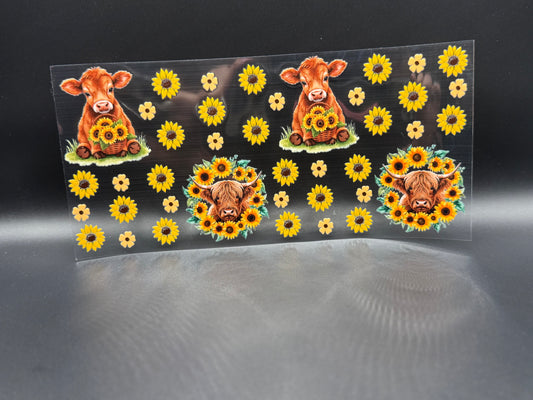 Cows w/Littlw Sunflowers