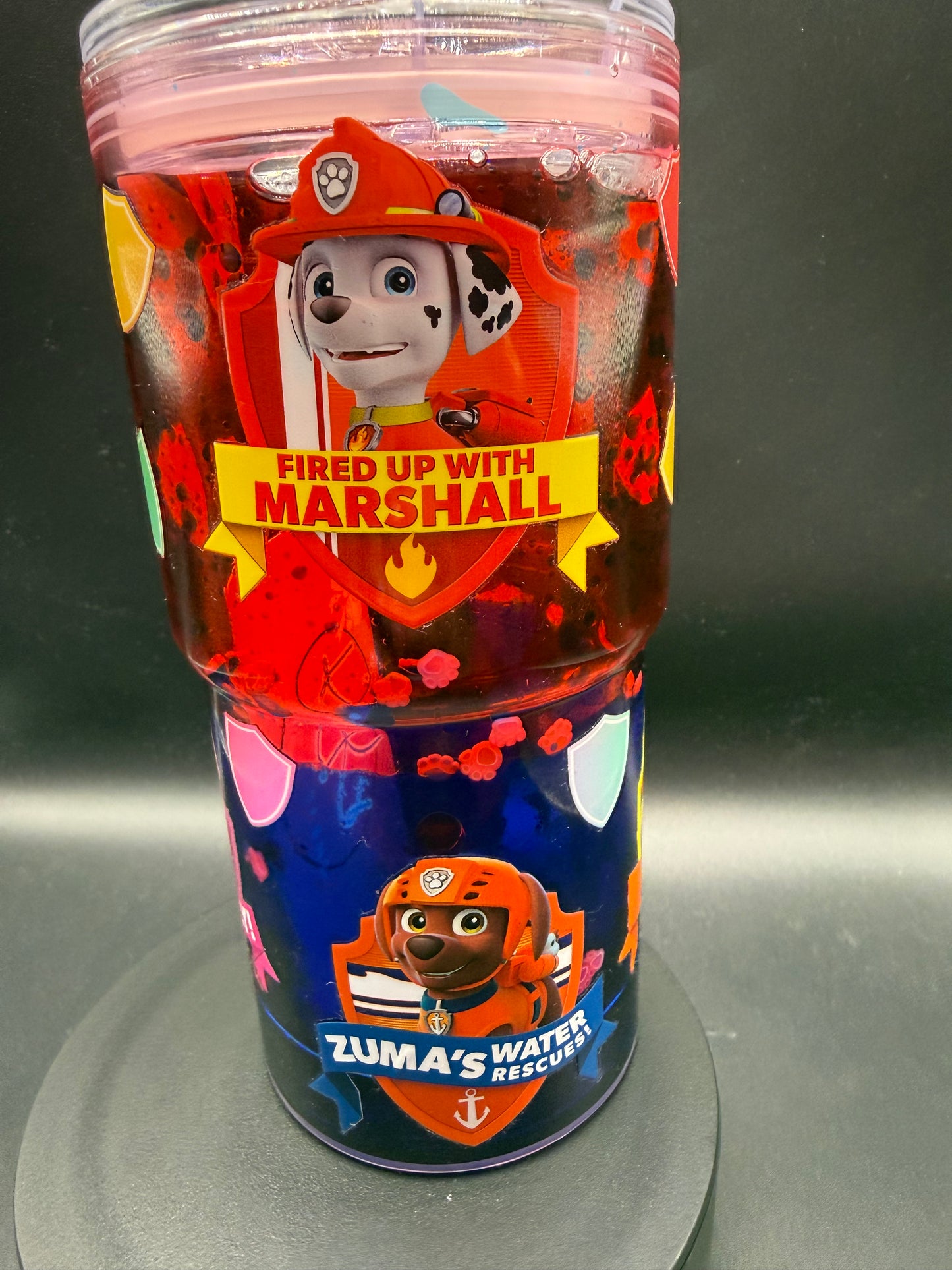 18oz Paw Patrol-Dual Lava Globe Cup