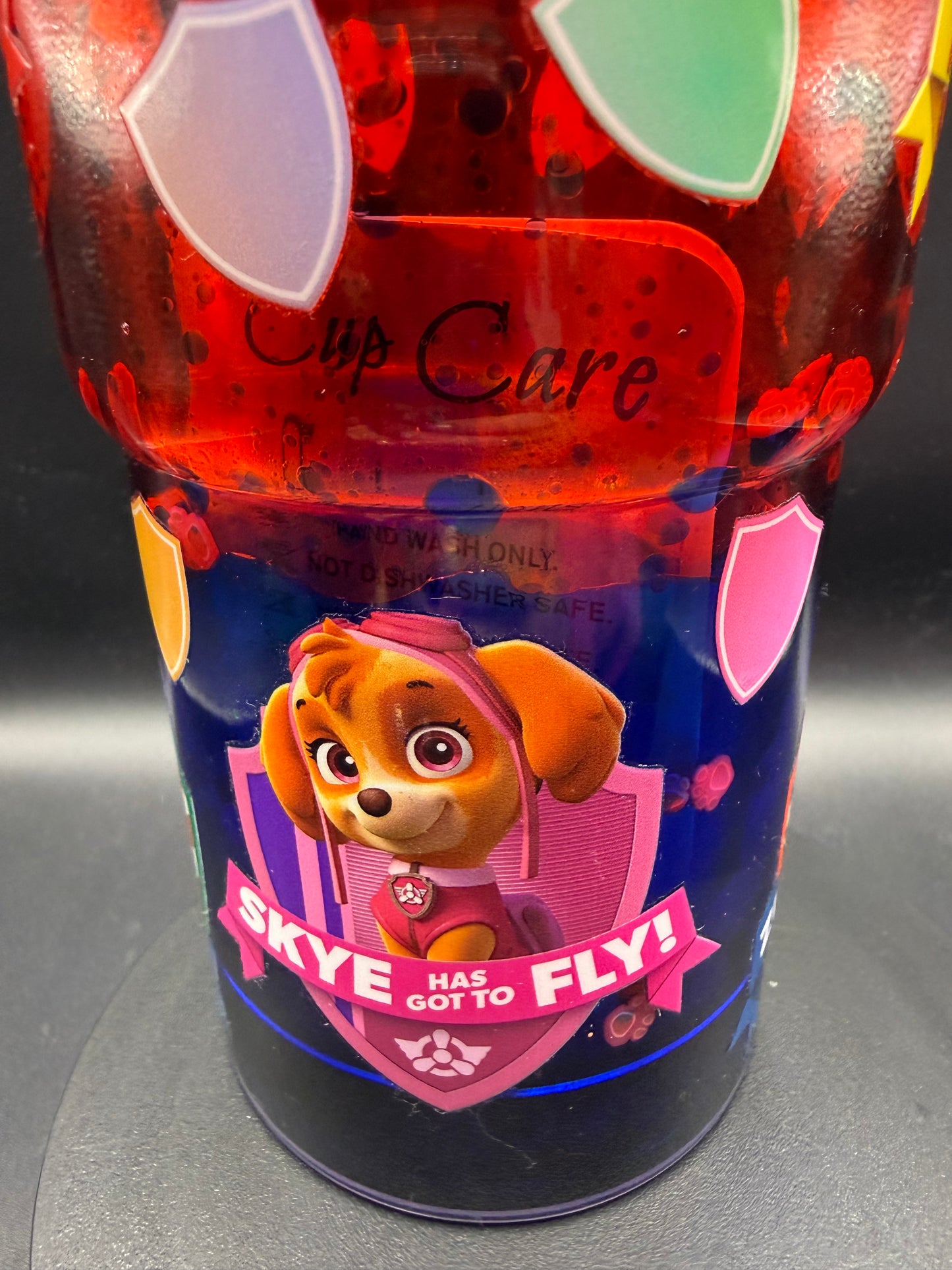 18oz Paw Patrol-Dual Lava Globe Cup
