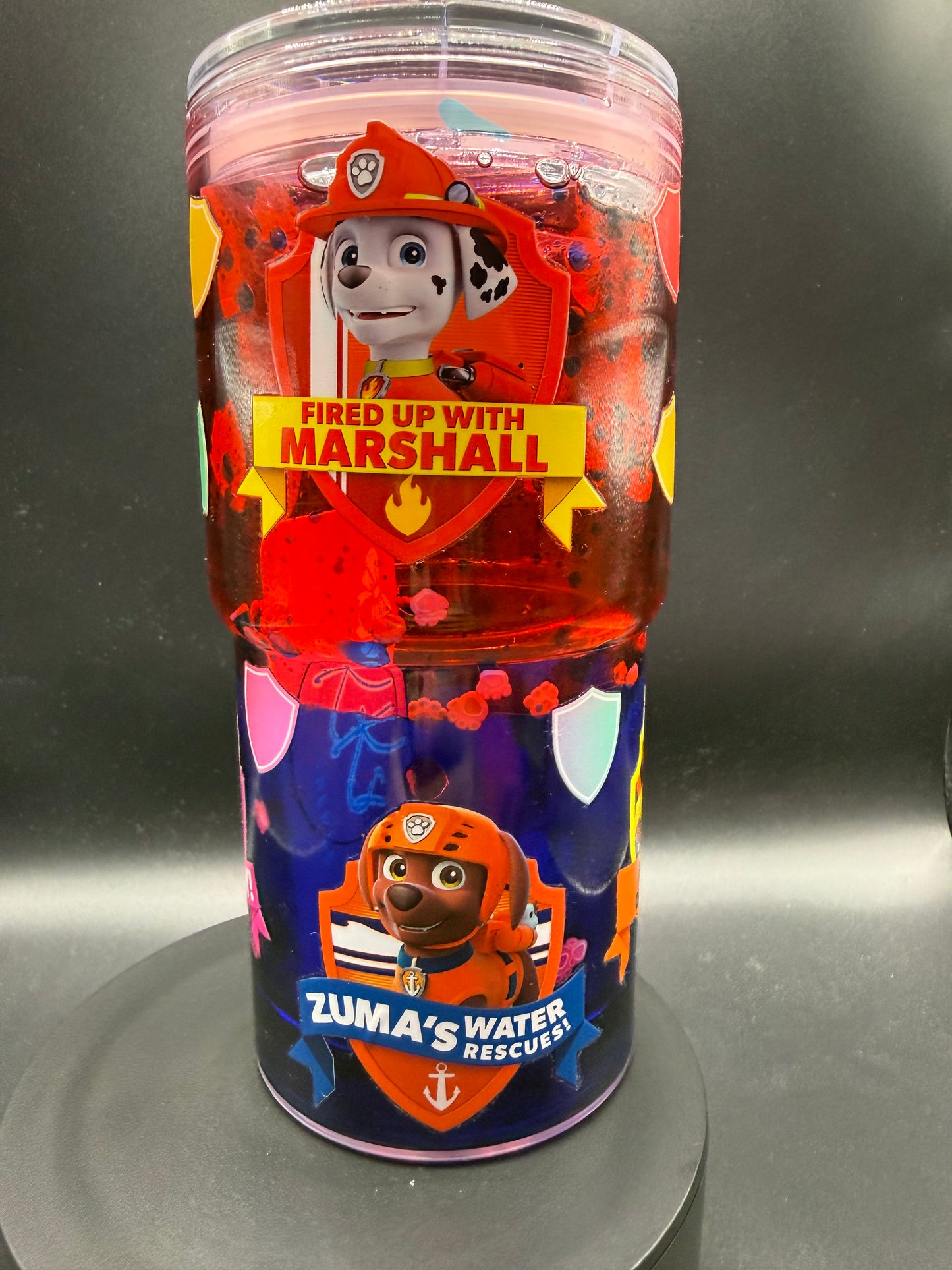 18oz Paw Patrol-Dual Lava Globe Cup