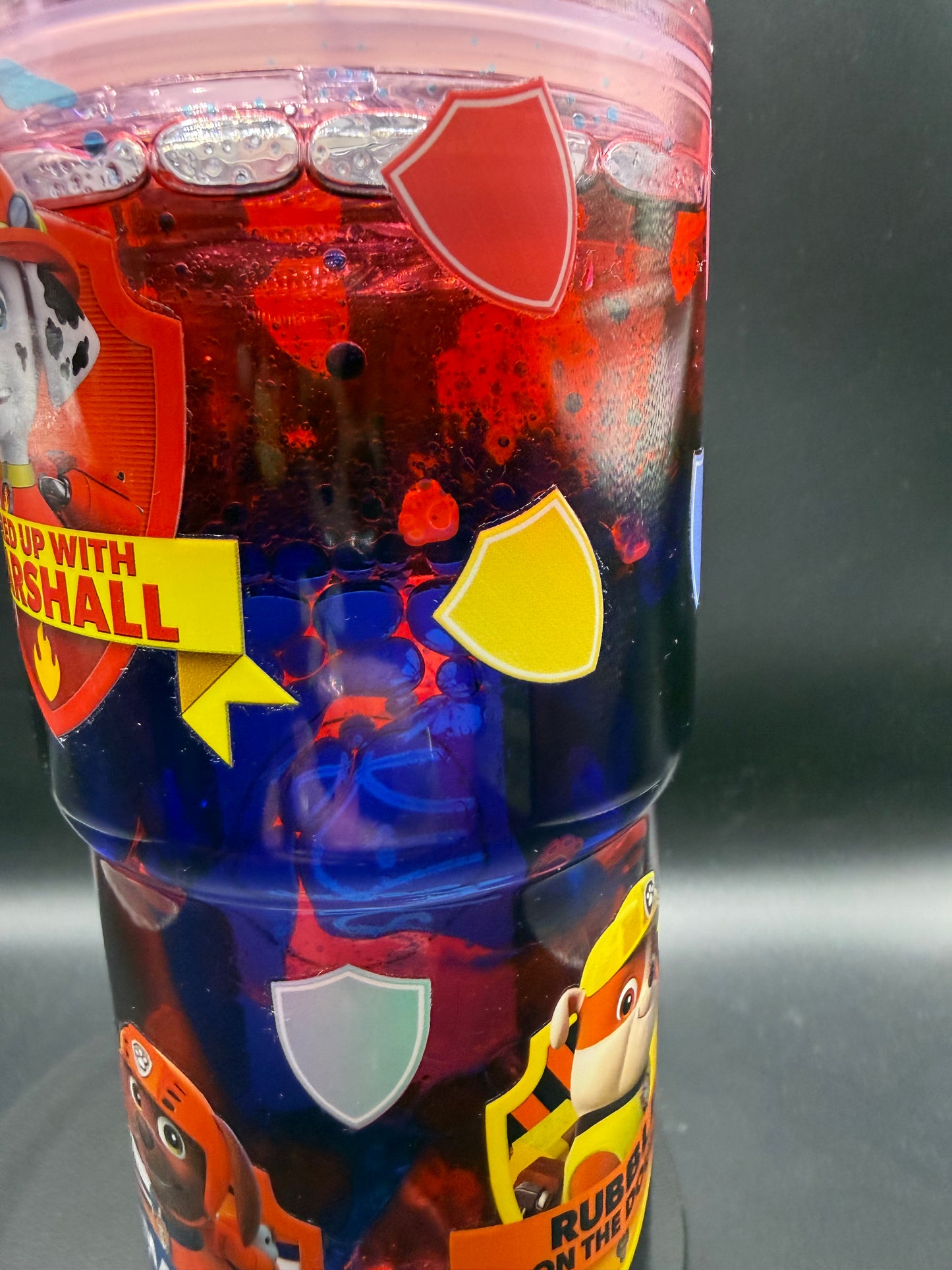 18oz Paw Patrol-Dual Lava Globe Cup