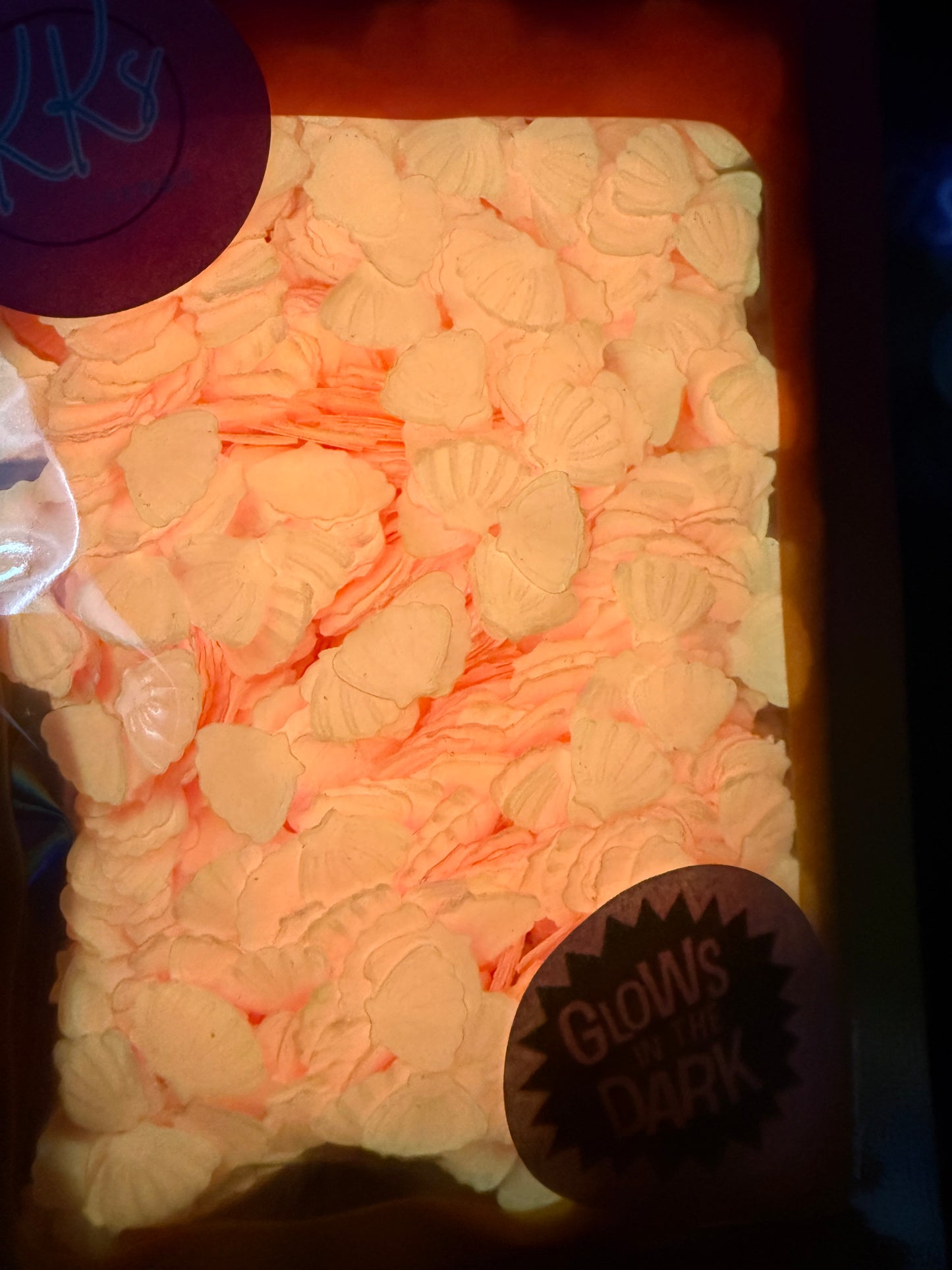Pink Shells-GLOW IN THE DARK