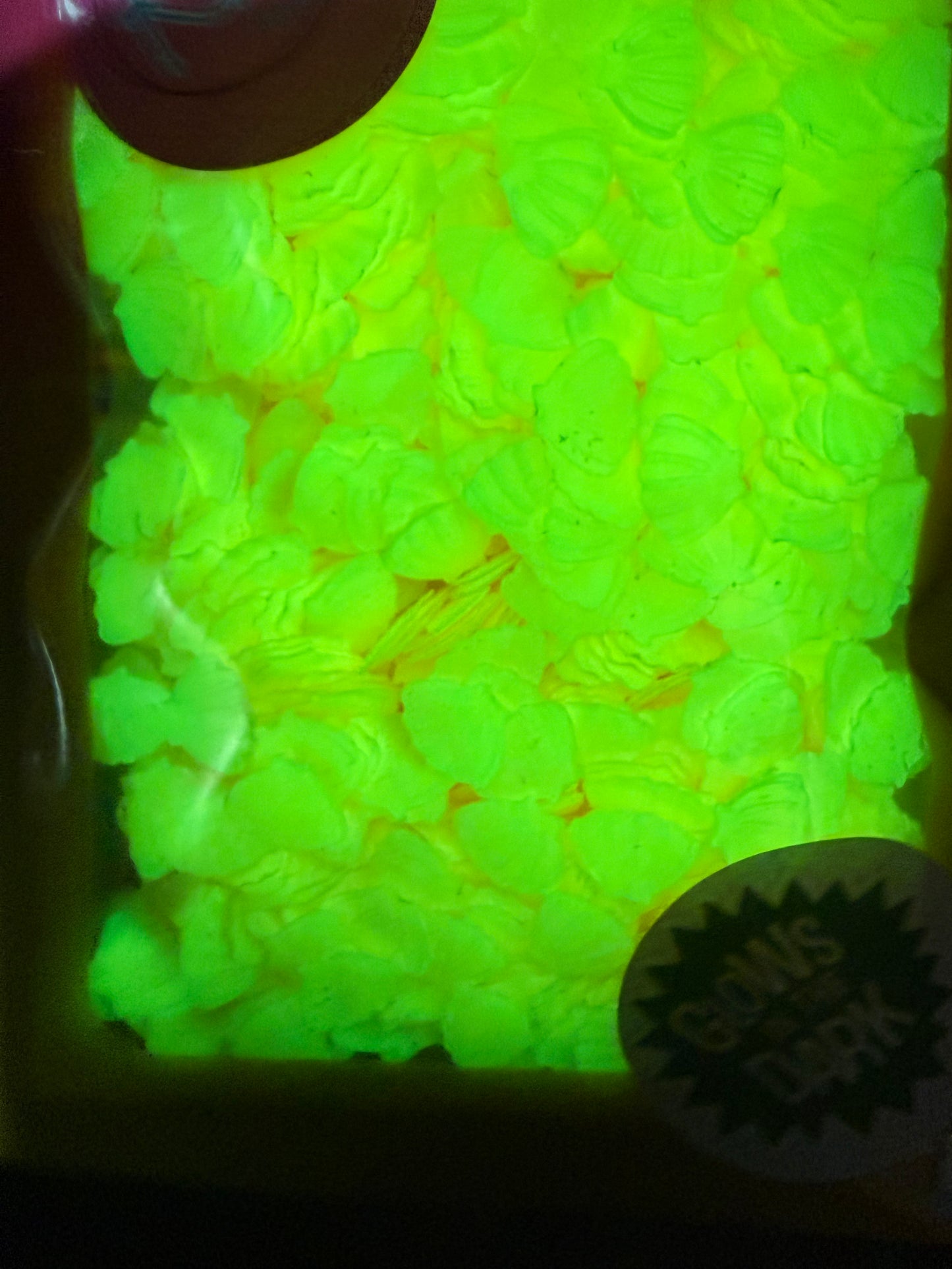 Yellow Shells-GLOW IN DARK