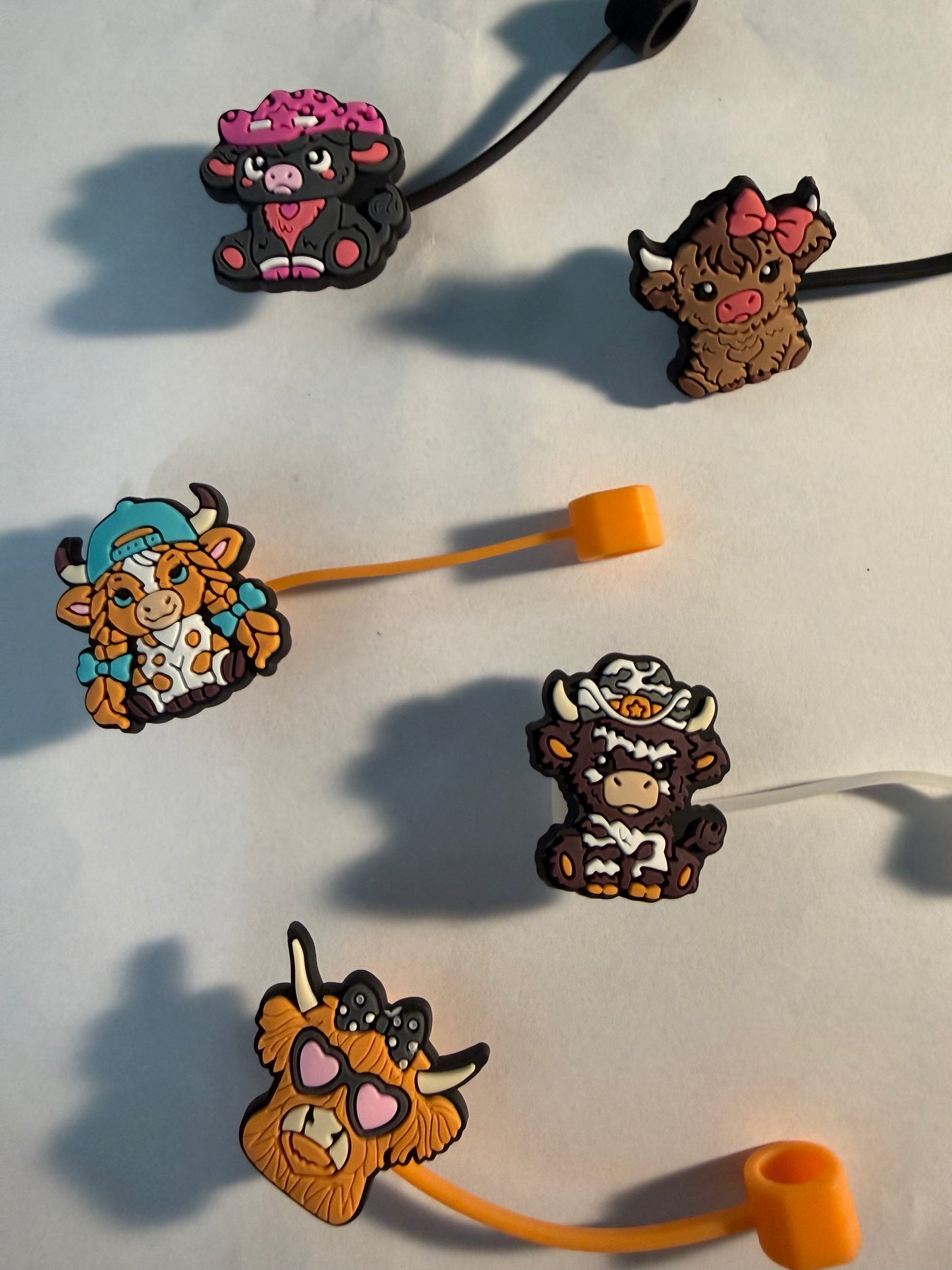 Cows-Brown