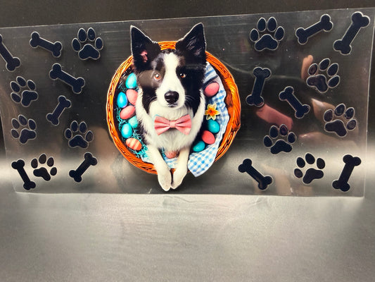 Dog in Basket