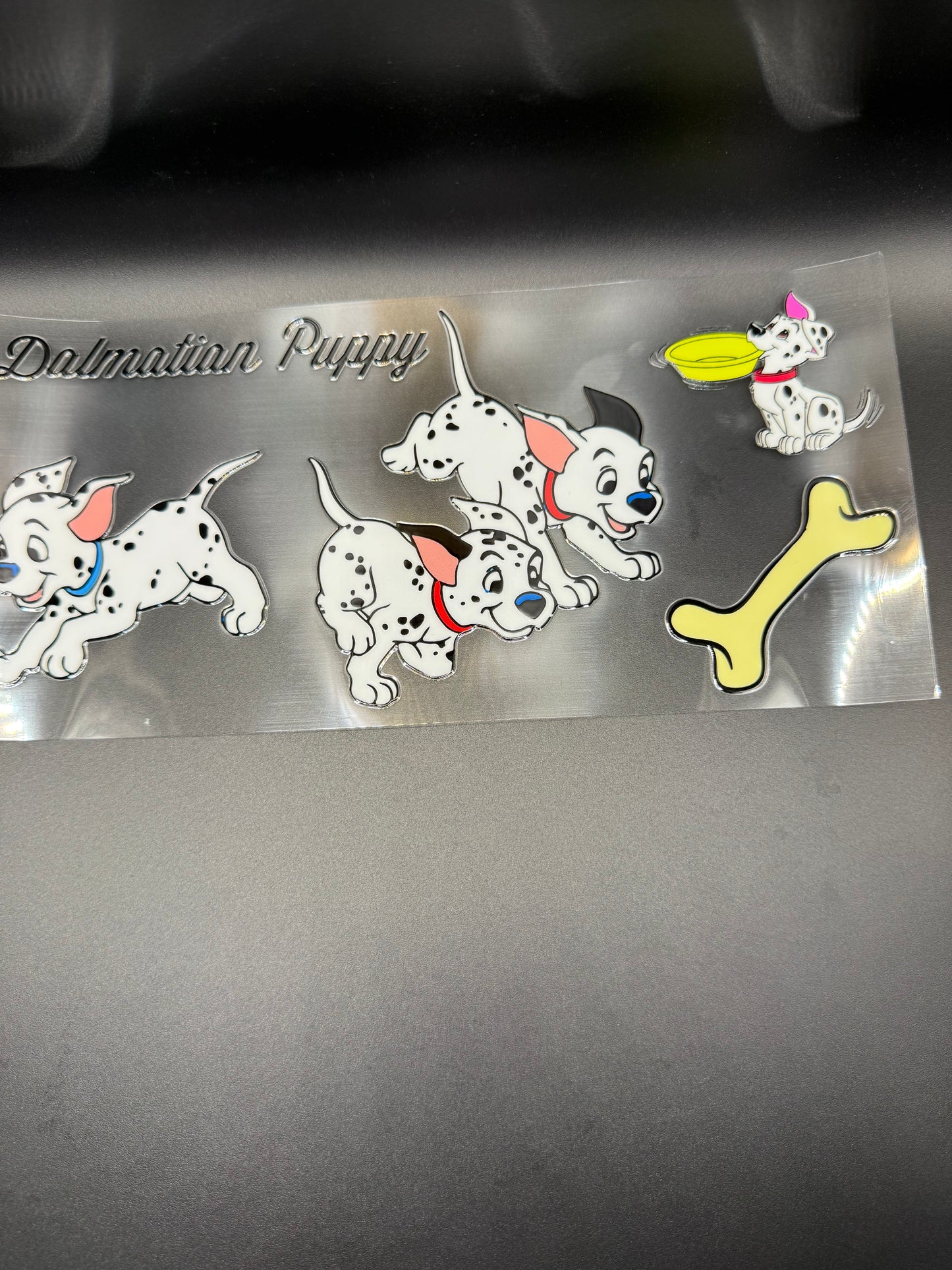 Dalmatian Puppy