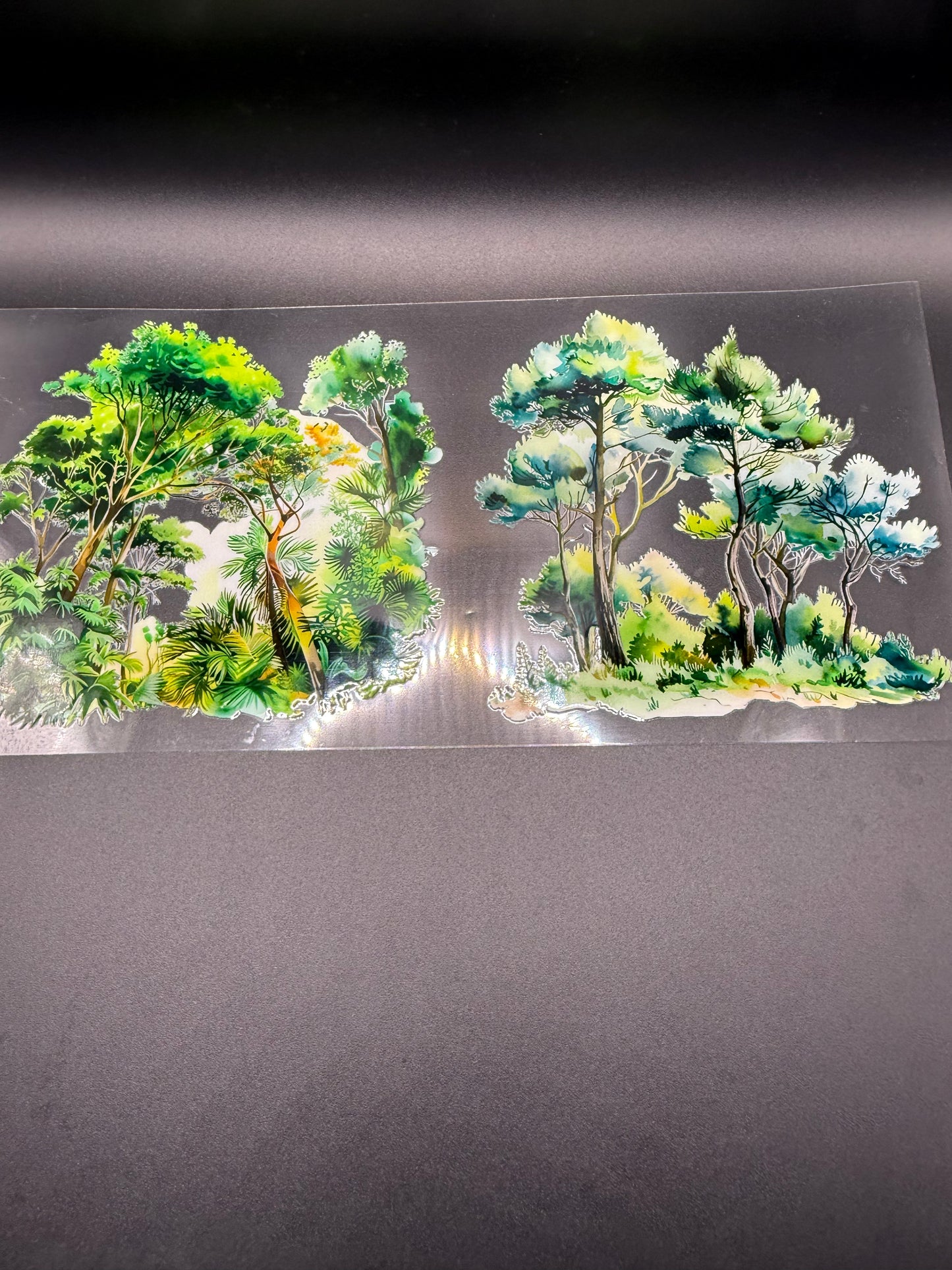 Wooded forest