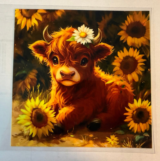 COW W DAISY