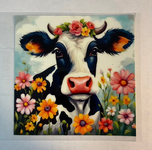 BLACK & WHITE MOO COW