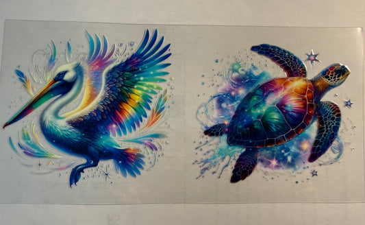 SEAGULL & SEA TURTLE