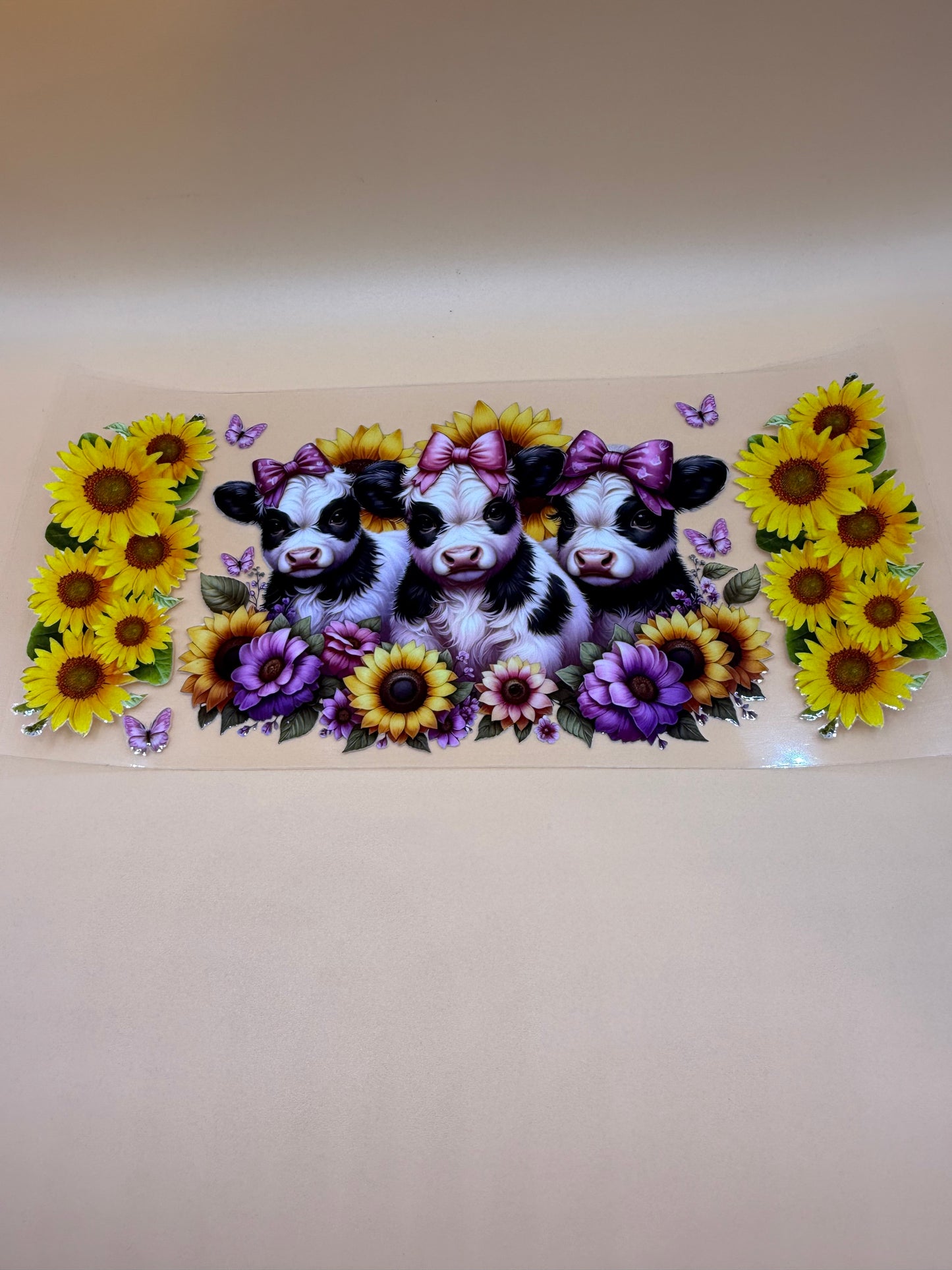 Milk Cows w/Sunflowers