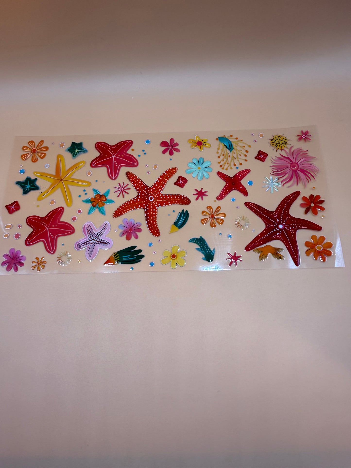 Star Fish