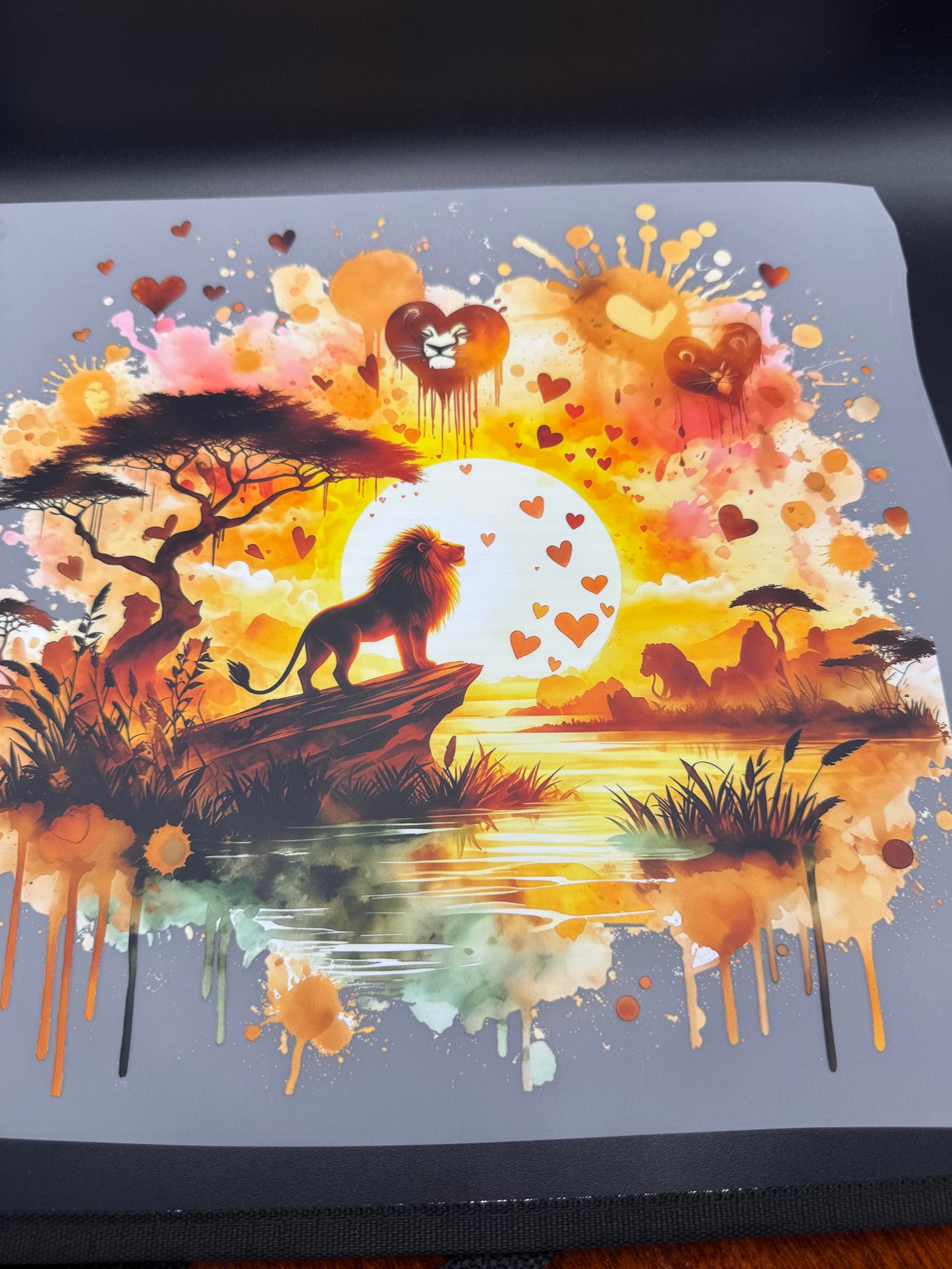 LION SCEEN