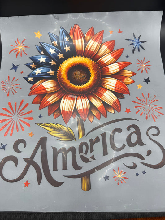 AMERICA SUNFLOWER