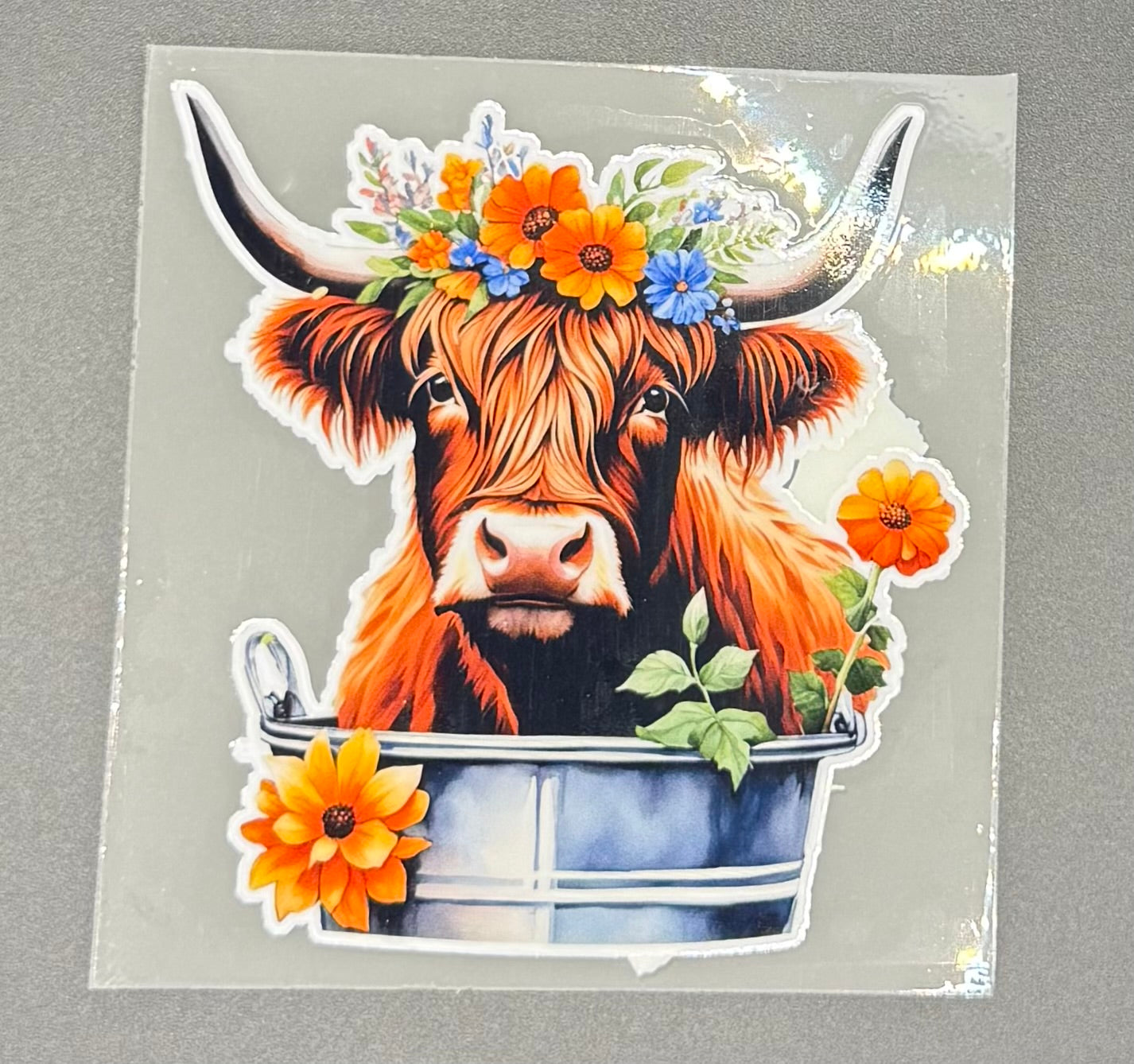COW IN WATER BUCKET