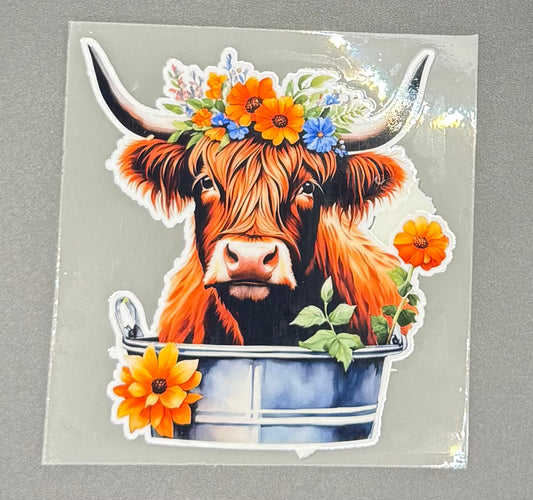 COW IN WATER BUCKET