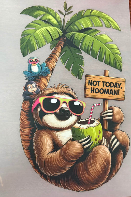 NOT TODAY HOOMAN!