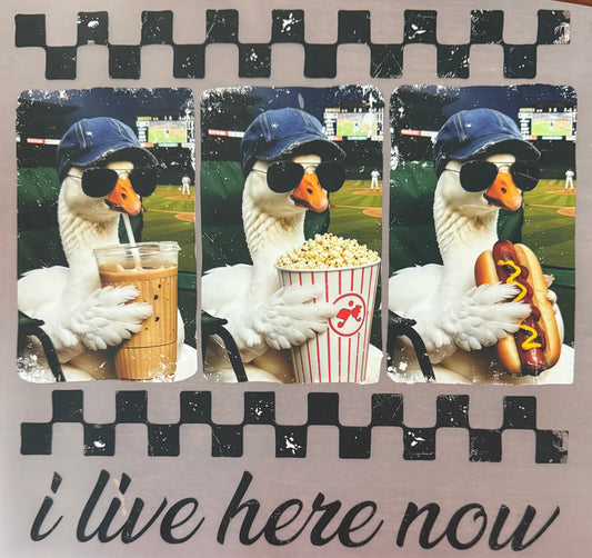 I LIVE HERE NOW