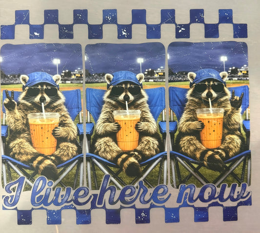 I LIVE HERE NOW-RACCOON